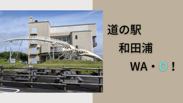 ♪◇道の駅◇[千葉・南房総] 「和田浦WA・O！」 道の駅